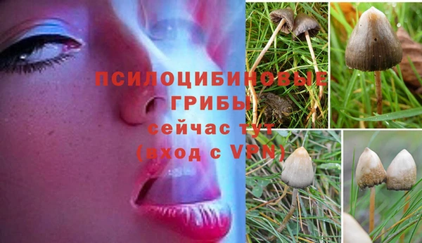 марки nbome Мегион
