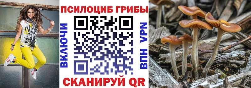 Псилоцибиновые грибы Psilocybine cubensis  Нижняя Салда 